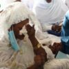 Rappel à Dieu du khalif des Layènes : L’émouvant hommage de Sokhna Codou LAHI
