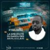 TRIBUNE N°51 : La spécificité du Gamou des Ahloulahi