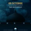 RAPPEL A DIEU DE L’IMAM AL-MAHDI : Vendredi 29 octobre 1909