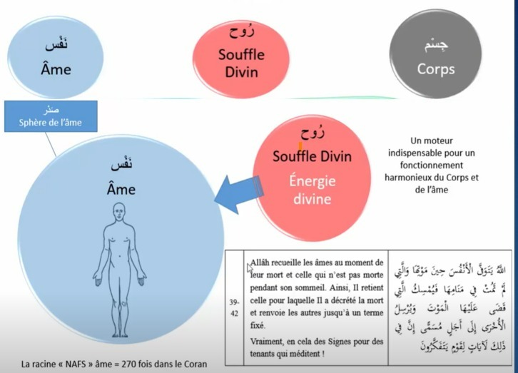 Arrière-plan