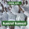 ZOOM SUR Kanzul Kunuzi avec Baye Ndjine et Chérif Mambaye Lahi