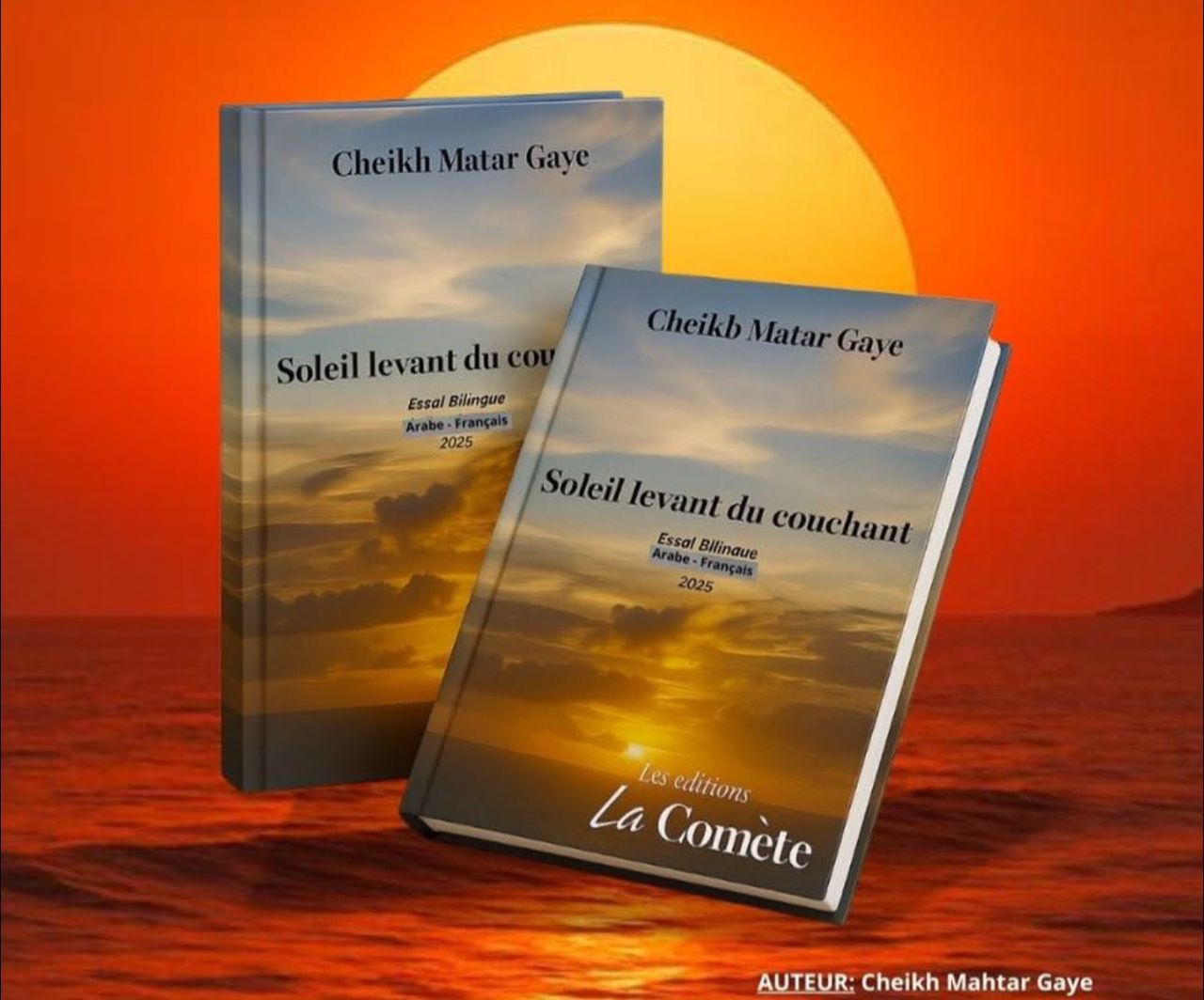 LA PRÉSENTATION DU LIVRE DE CHEIKH MAKHTAR GAYE REPORTE SINE DIE